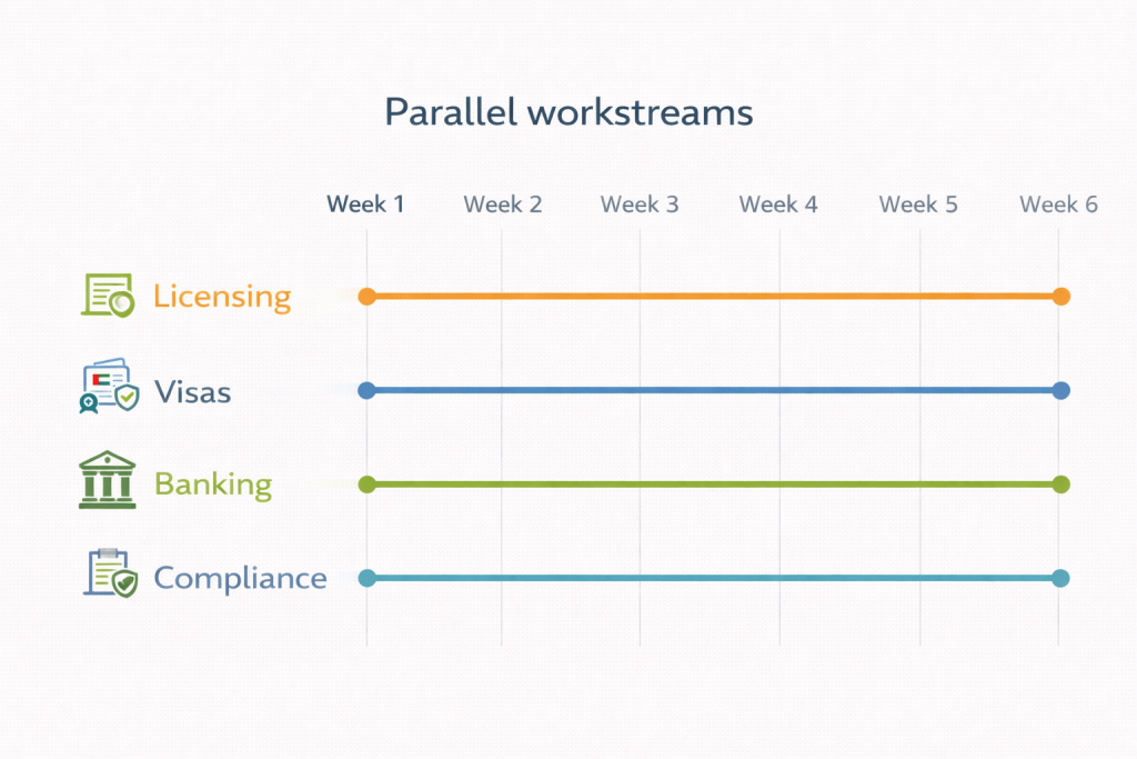 Timeline showing how licensing, visas, banking, and compliance can run in parallel in Dubai